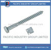 Square Lag Screws Hot Dipped Galvanized