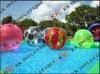 Adults Water walking Inflatable Water Ball For Rental Business / High Elastic