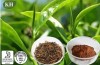 Black Tea Extract;Theaflavins 40% 60%, Polyphenols 25% 40%