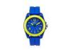 Promotional Colorful Plastic Quartz Watch With PMMA Face , Wrist Watches For Boys