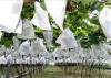 Durable Non Woven Landscape Fabric for Plant Protection Agriculture Covering
