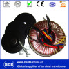 Toroidal Inverter voltage transformer 5000w