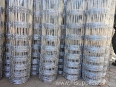 Hinge Joint Boundary Stock Fence Netting