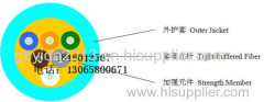 GJPFJH/GJPFJV-6B1/6 Core Indoor Single-mode Distribution Fiber Optic Cable Manufacturer