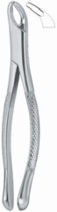 Tooth Ext Forceps Amr /Dental Forceps