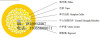 GJBFJH/GJBFJV-36A1/36 Core Indoor OM3 Multi-mode Breakout Fiber Optic Cable Manufacturer