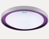 LED high brightness ceiling light