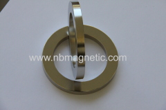 Sintered Ndfeb Magnet RING