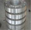 ISO9001 40 - 500mm Wall Thickness Carbon Steel Forged Steel Flange for tyre moulds