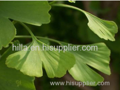 Ginkgo Biloba Extract Ginkgo flavone glycosides