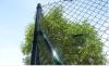 chain link fence--PVC Coated Paint Chain Link Fence (Supplier)