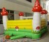 Strawberry Commercial Inflatable Bouncers , outdoor inflatable bouncers
