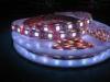 Yellow 72W 360lm DC48V CRI80 SMD5050 60LEDs Aluminum LED Flexible Strip Lights