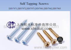 zinc plated tapping screws ( DIN7981 DIN7982 DIN7983 DIN7973 DIN7972 )