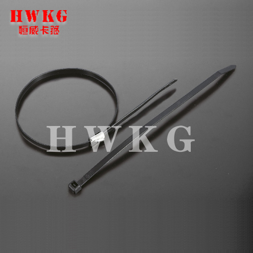 tie worm drive hose clamp-2 parts