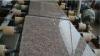 G687 Peach Red Granite for Floor Tile