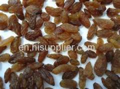 xinjiang stulta/ red /green / golden seedless raisin