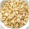 red pine nut kernel