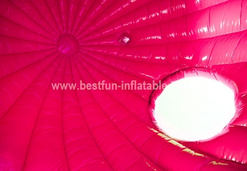 Disco Fun Princess bouncy castle