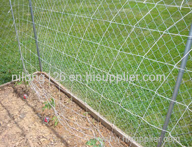 Nylon Trellis Netting Supports Plant Grow Vertically