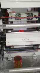 YT Series DOUBLE color flexible printing machine