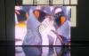 P16 Rental Outdoor LED Signs 1R1G1B , 110For Concert , Fashion Show