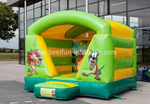 Mini Jungle bouncer with roof