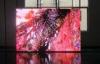 High Brightness P12 1R1G1B Outdoor LED Video Display For Advertising IP65 256mm256mm