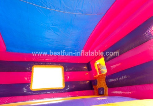 Maxi Multifun Princess bounce playground