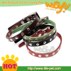 wholesale pet dog collar