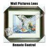 Wall pictures (Remote control)