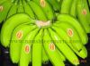 Offer To Sell Fresh Cavendish Banana