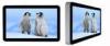 Large Dynamic Panel Office LCD Digital Signage , 32&quot; Ultra Thin Bezel Display