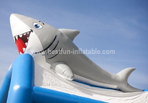 Bouncy castle Combo Marine