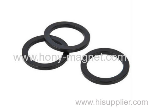 Rare earth radially oriented ring ferrite magnet
