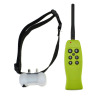 2014 New & Hot design Remote 2- Dog Shock Training Collar