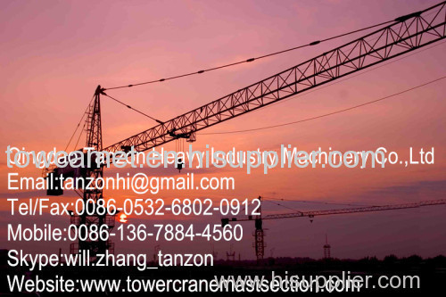 Safe Construction Tower Crane 48m Lifting Height Crane Manufacturer,Crane Supplier
