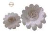 Heart Sweet Candy Fizzy Bath Bombs in chrysanthemum / Mentha haplocalyx Fragrance