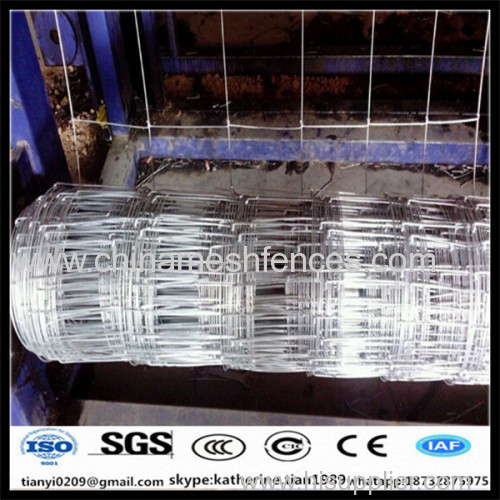 European Standard hot dipped galvanized high quality field fence