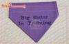 Embroidered Any Letter Training Dog Bandana In Over Collar Style With Hardware