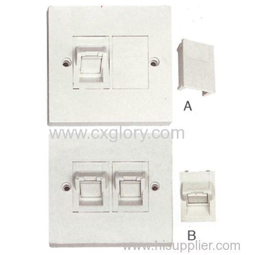 Systimax Type 45 Angled Faceplate