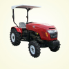 Dz-304 Mini Farm Tractor