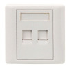 AMP Type RJ45 Dual Port Faceplate