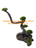 Aquarium artificial moss tree stump/ aquarium decoration/ resin moss tree/aquarium ornament