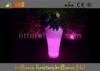 decorative IP56 Glowing LED Flower Pots illuminated planters for night club