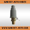 Truck Parts Safety valve 820238