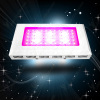 55*3 w led grow light