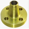 Casting Flange with Brass