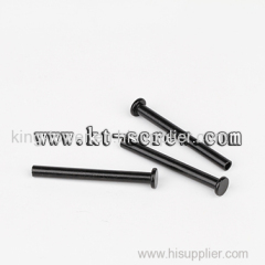 China screw manufacturer flat rivet for car or car bracket