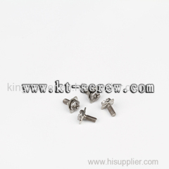 Stainless Steel SEMS Screw/combination screw (with custom squre washer)